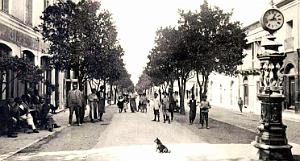 2019- Blida - Boulevard Trumelet2